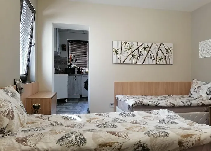 влад-дом за 3-ма с кухня